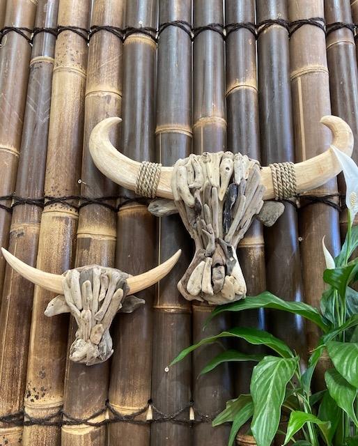 Driftwood Bull Heads