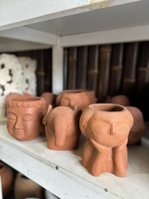 Terracotta Plant Pot